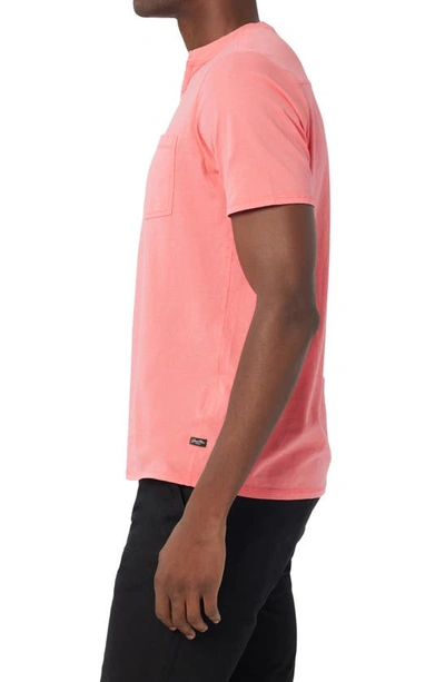 Shop Good Man Brand Premium Cotton T-shirt In Rosette
