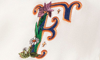Slip Embroidered Pure Silk Queen Pillowcase In F