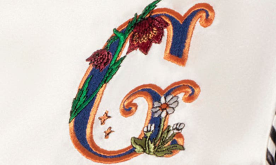 Slip Embroidered Pure Silk Queen Pillowcase In G