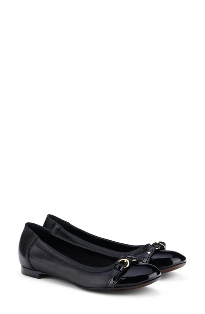 Shop Agl Attilio Giusti Leombruni Monika Cap Toe Ballet Flat In Black With Gold Buckle