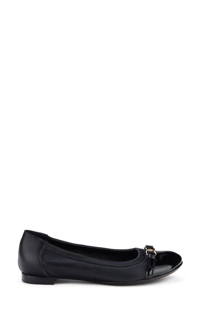 Shop Agl Attilio Giusti Leombruni Monika Cap Toe Ballet Flat In Black With Gold Buckle