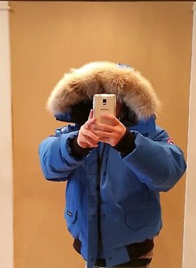 Pre-owned Canada Goose Latest Concept Grey Label  Pbi Chilliwack Large Parka In Royal Blue (polar Bear Limited Edition) Pbi