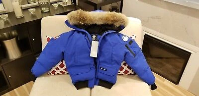 Pre-owned Canada Goose Latest Concept Grey Label  Pbi Chilliwack Large Parka In Royal Blue (polar Bear Limited Edition) Pbi