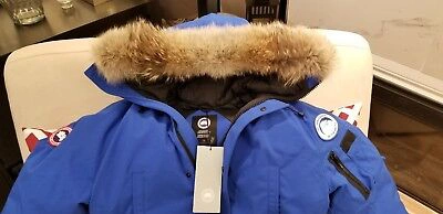 Pre-owned Canada Goose Latest Concept Grey Label  Pbi Chilliwack Large Parka In Royal Blue (polar Bear Limited Edition) Pbi