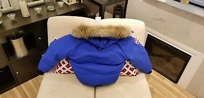 Pre-owned Canada Goose Latest Concept Grey Label  Pbi Chilliwack Large Parka In Royal Blue (polar Bear Limited Edition) Pbi