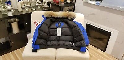 Pre-owned Canada Goose Latest Concept Grey Label  Pbi Chilliwack Large Parka In Royal Blue (polar Bear Limited Edition) Pbi