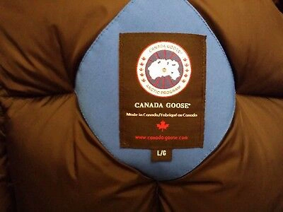 Pre-owned Canada Goose Latest Concept Grey Label  Pbi Chilliwack Large Parka In Royal Blue (polar Bear Limited Edition) Pbi