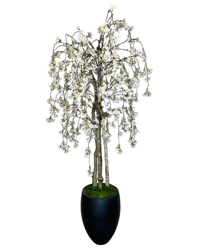 Shop Creative Displays 5ft White Cherry Blossom Tree In Planter