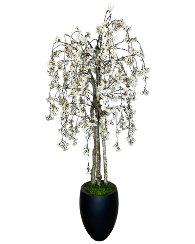 Shop Creative Displays 6ft White Cherry Blossom Tree In Planter