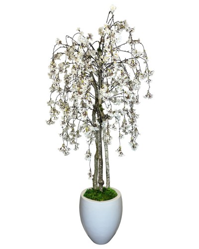 Shop Creative Displays Cherry Blossom Tree In Fiberstone Planter In White