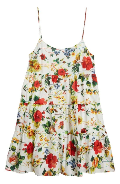 Alice And Olivia Collen Floral Cotton Sundress In Dew Floral