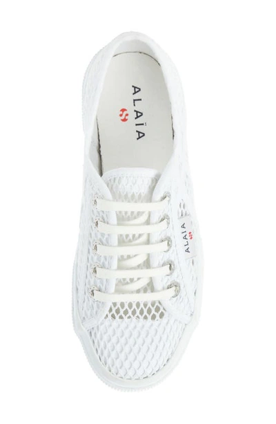 Shop Alaïa X Superga Fishnet Lace-up Sneaker In Blanc Casse