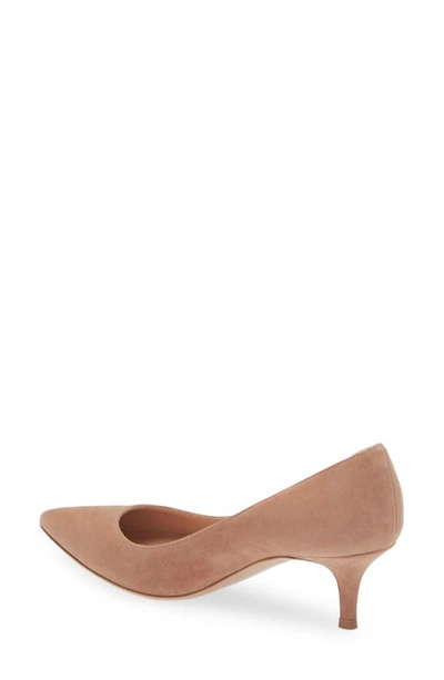 Shop Gianvito Rossi Kitten Heel Pointed Toe Pump In Praline