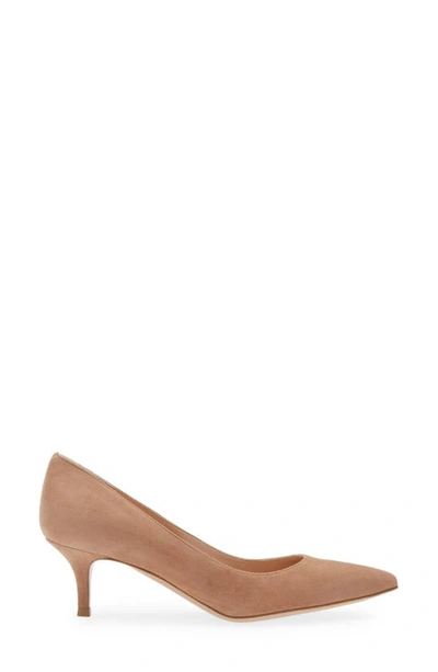 Shop Gianvito Rossi Kitten Heel Pointed Toe Pump In Praline