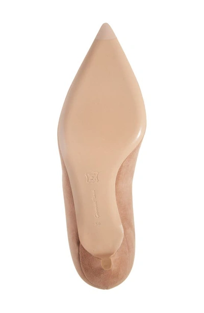 Gianvito Rossi Pointed Toe Pump In Praline