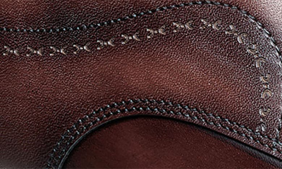Stacy Adams Brayden Wingtip Oxford In Brown
