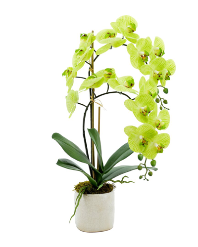 Shop Creative Displays Green Orchid Floral Arrangement In Multi