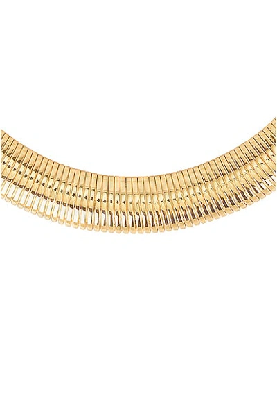 Shop Lele Sadoughi Snake Chain Necklace In Gold