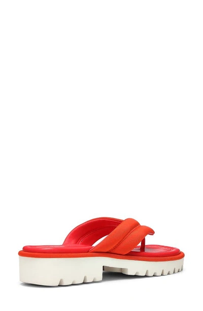 Donald Pliner Barbera Flip Flop In Persimmon