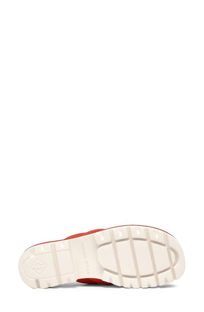 Donald Pliner Barbera Flip Flop In Persimmon
