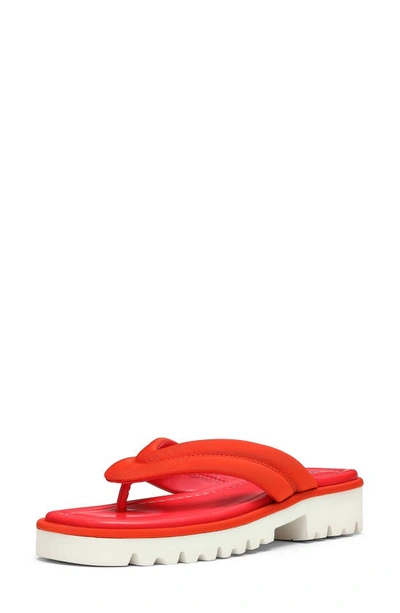Donald Pliner Barbera Flip Flop In Persimmon