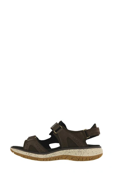 Shop Sas Embark Sandal In Smores