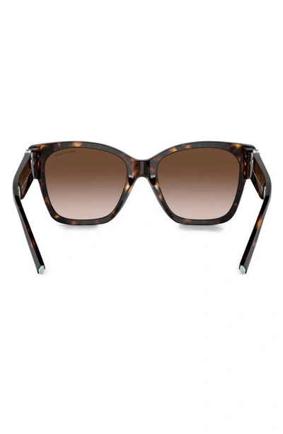 Shop Tiffany & Co 54mm Gradient Square Sunglasses In Havana