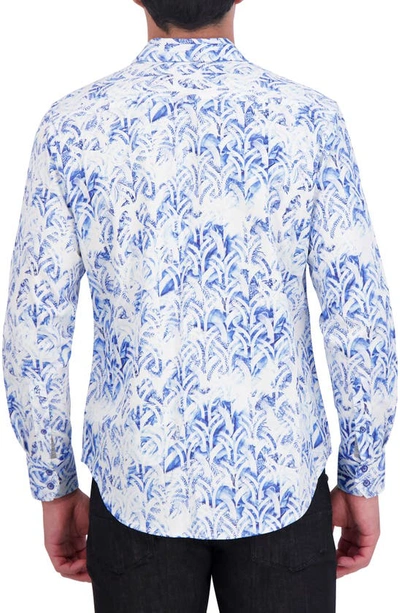 Robert Graham Abstract Frond Print Stretch Cotton Button-down Shirt In Blue