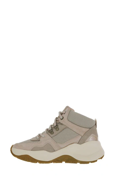 Sas Hi Country-x Hiking Boot In Tauper Grace