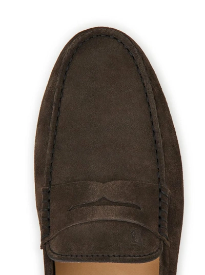 Shop Tod's Shoes In Brown