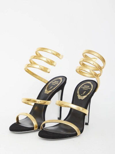 Shop René Caovilla Juniper Sandals In White