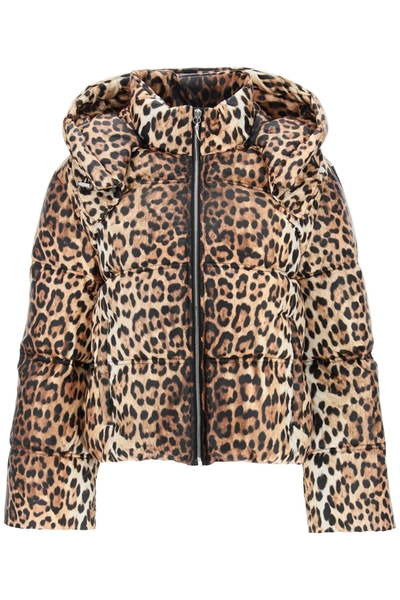 Shop Roberto Cavalli Jaguar Hooded Puffer Jacket In Beige, Black