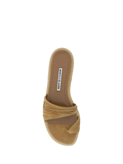 Shop Manolo Blahnik Sandals In Mbrw
