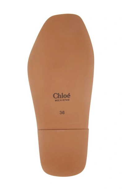 Shop Chloé Woody Slide Sandal In Desert Beige