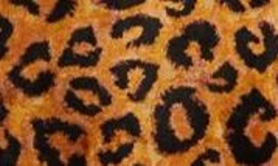 Shop Rabanne Leopard Print Long Sleeve Velvet Maxi Dress