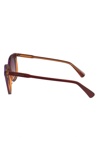 Longchamp 53mm Gradient Cat Eye Sunglasses In Dark Rose/ Peach