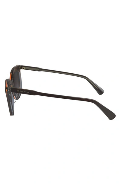 Longchamp 53mm Gradient Cat Eye Sunglasses In Brown/ Grey