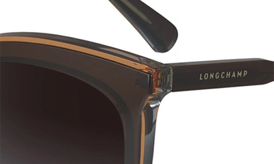 Longchamp 53mm Gradient Cat Eye Sunglasses In Brown/ Grey