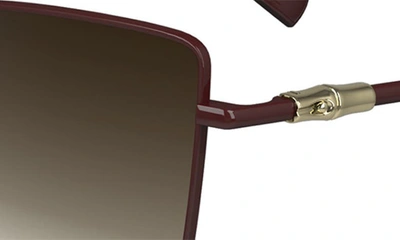 Shop Longchamp 55mm Gradient Square Sunglasses In Burgundy