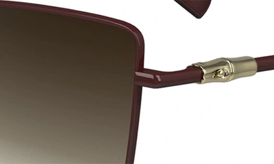 Longchamp 55mm Gradient Square Sunglasses In Burgundy