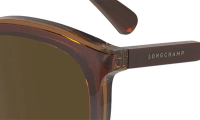 Shop Longchamp 50mm Round Sunglasses In Brown/ Caramel