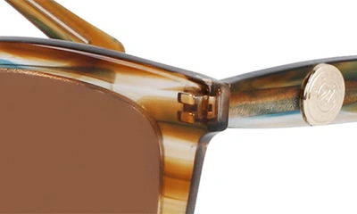 Shop Longchamp Le Pliage 54mm Gradient Cat Eye Sunglasses In Striped Brown/ Petrol