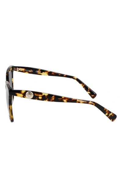 Shop Longchamp Le Pliage 54mm Gradient Cat Eye Sunglasses In Tokyo Havana