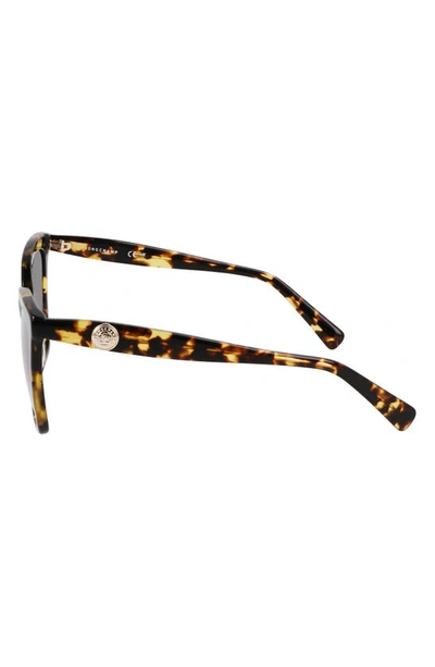 Longchamp Le Pliage 54mm Gradient Cat Eye Sunglasses In Tokyo Havana