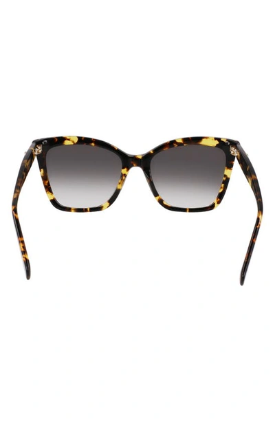 Longchamp Le Pliage 54mm Gradient Cat Eye Sunglasses In Tokyo Havana