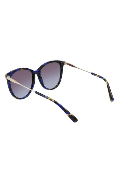 Shop Longchamp 55mm Gradient Tea Cup Sunglasses In Blue Havana