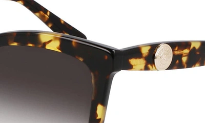 Shop Longchamp Le Pliage 54mm Gradient Cat Eye Sunglasses In Tokyo Havana