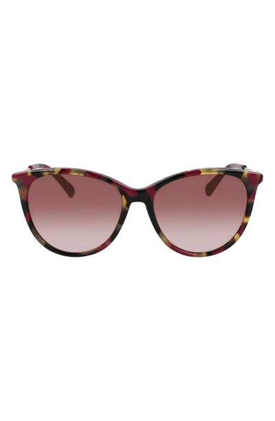 Shop Longchamp 55mm Gradient Tea Cup Sunglasses In Red Havana