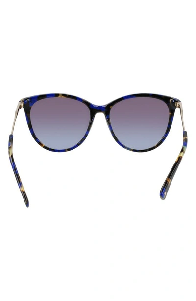 Shop Longchamp 55mm Gradient Tea Cup Sunglasses In Blue Havana