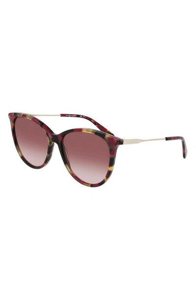 Longchamp 55mm Gradient Tea Cup Sunglasses In Red Havana